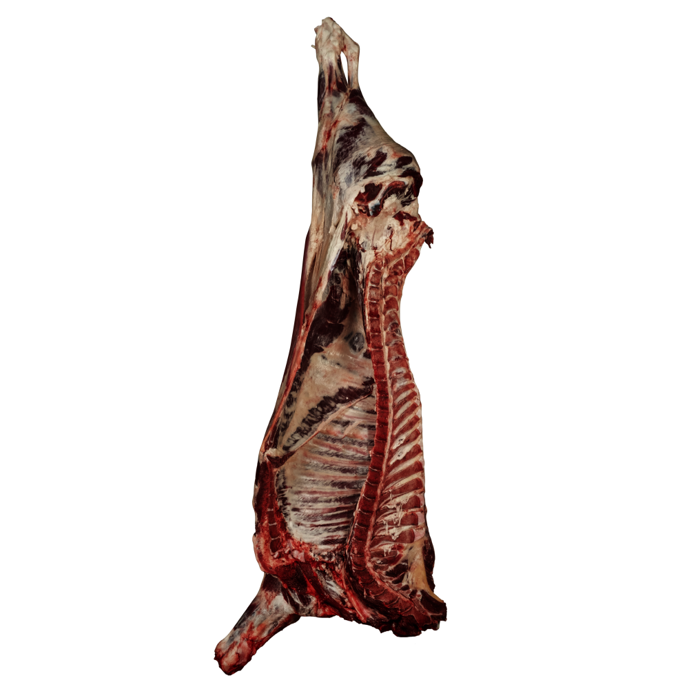 BOEUF DEMI AVEC OS
