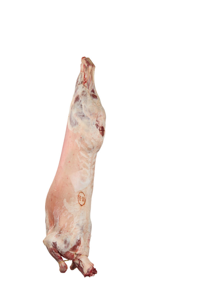 AGNEAU DEMI AVEC OS