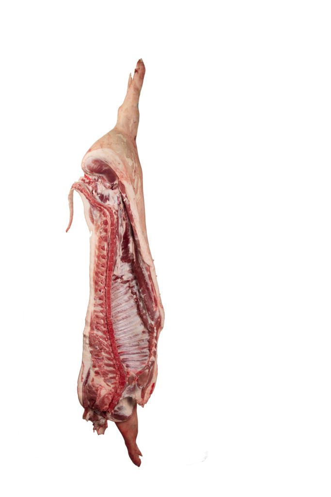PORC DEMI AVEC OS