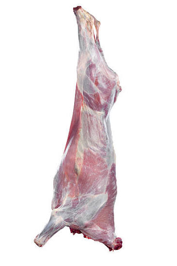VEAU DEMI AVEC OS